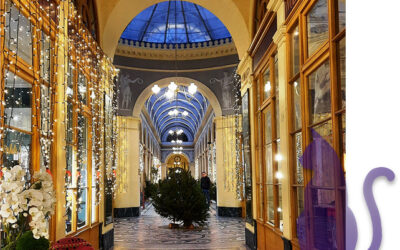 Du Palais Royal aux Passages Couverts du 19ème siècle